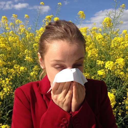CBD tegen pollenallergieën